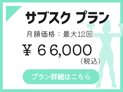 サブスクプラン　月額価格66000円（税込）最大12回