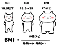 料金・プラン案内